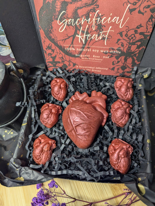 Sacrificial Heart Wax Melt Set – Bergamot Rose & Oud Gothic Anatomical Heart Wax Melts for Aromatic Home Fragrance